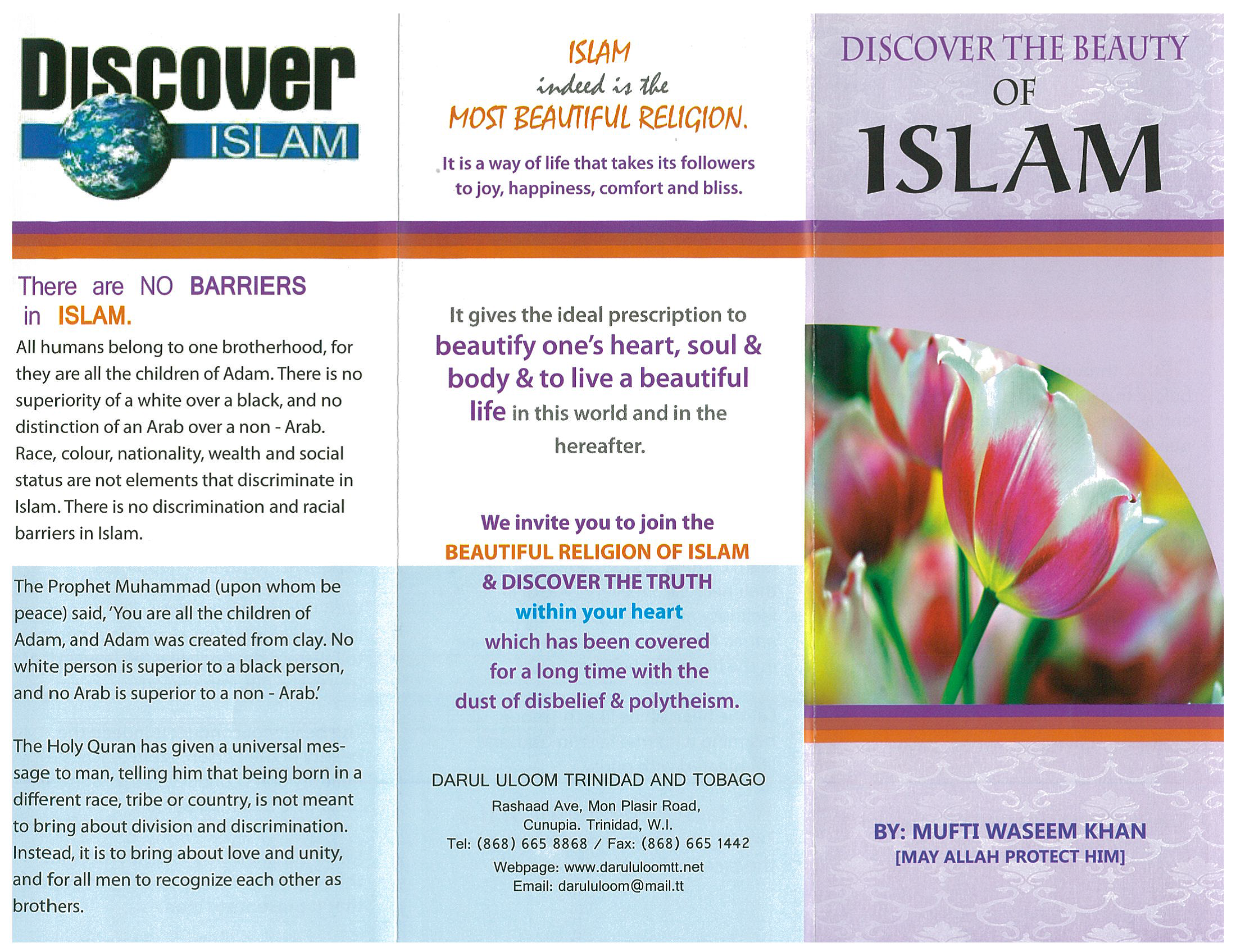 Discover The Beauty of Islam (Palmflex)