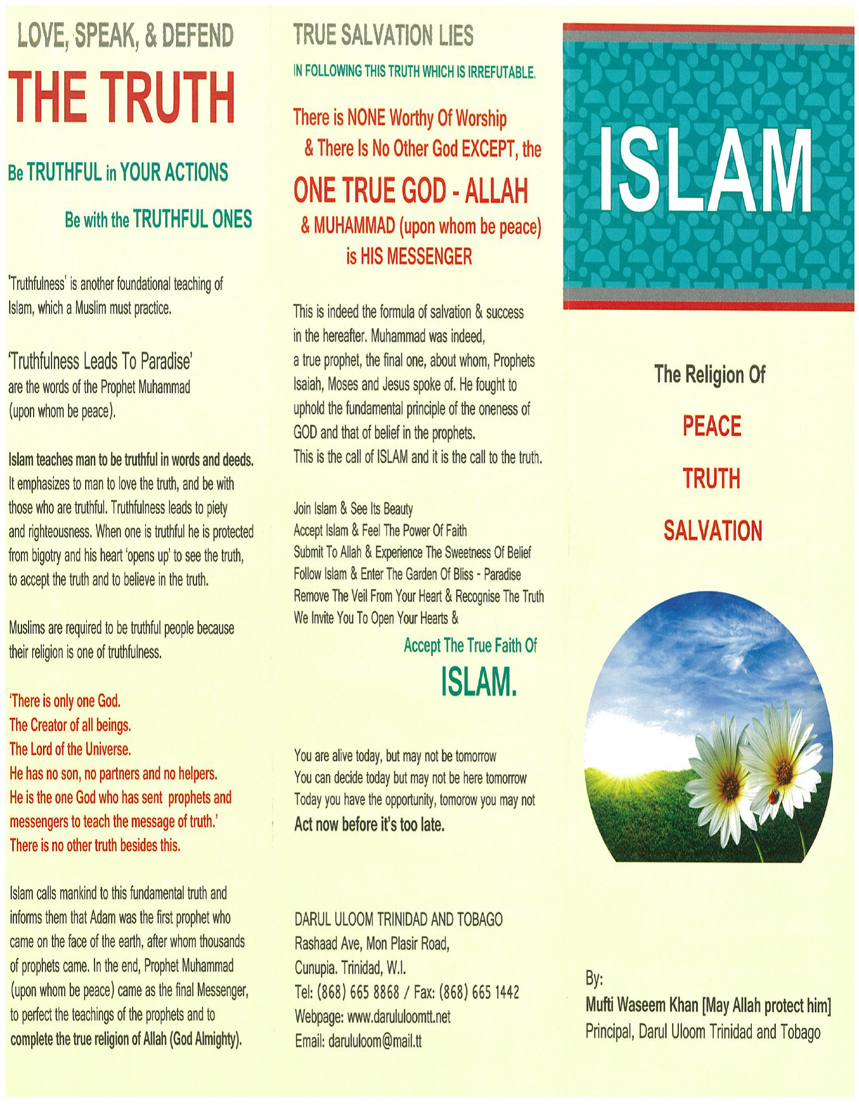 Islam The Religion of Peace, Truth and Salvation (Palm Flex)