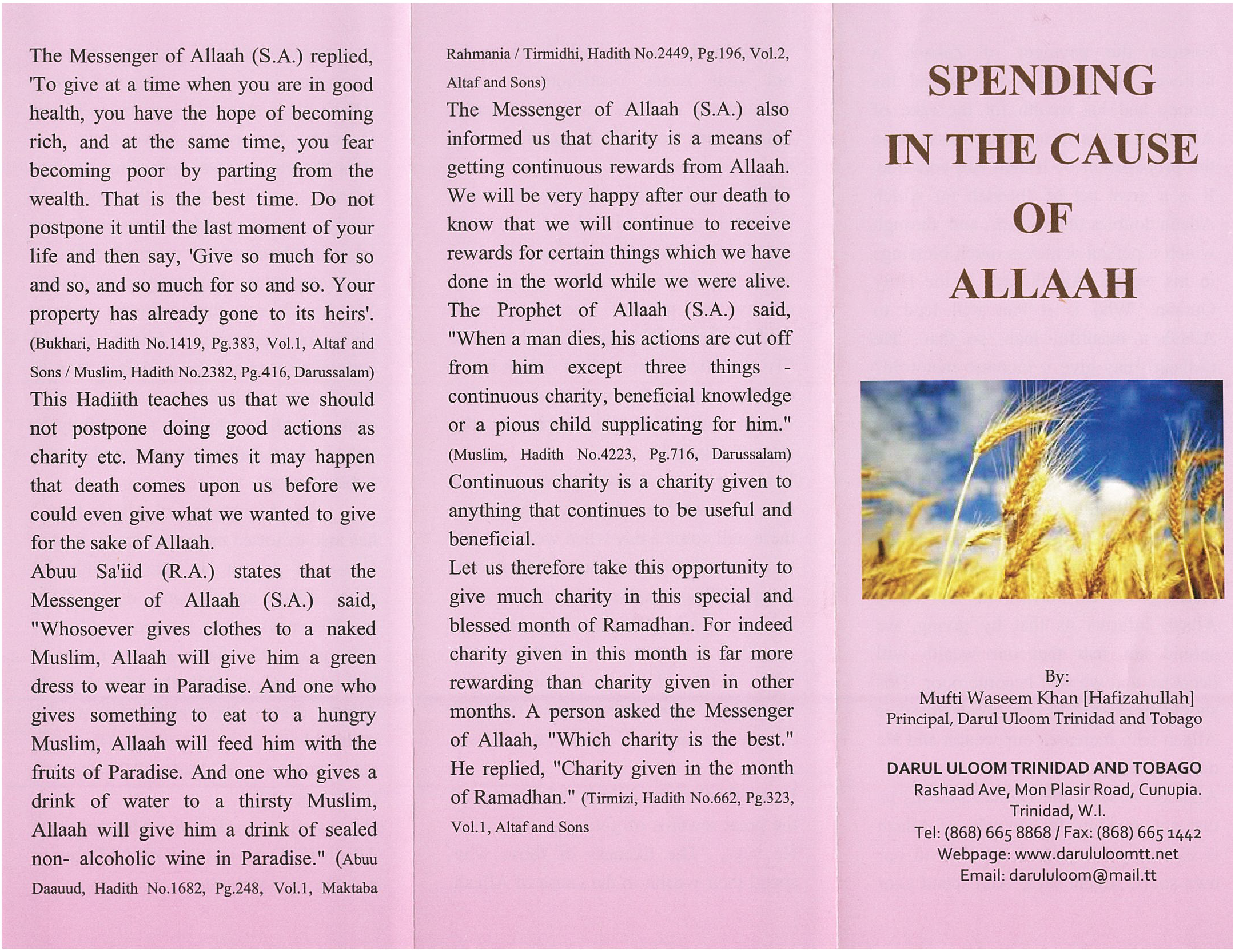 Spending In The Cause of Allah (Palm Flex)